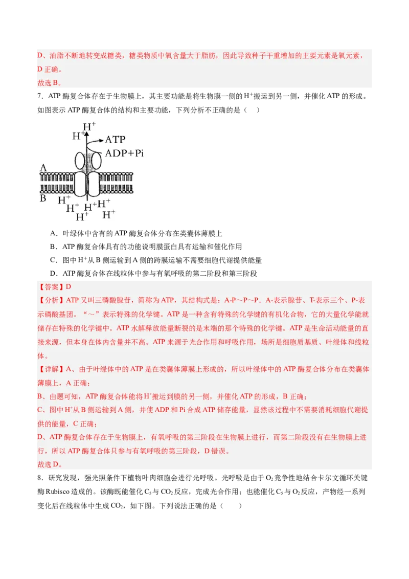 考点通关卷11细胞代谢综合分析（解析版）_2025年新高考资料_一轮复习_2025年高考生物一轮复习考点通关卷（新高考通用）