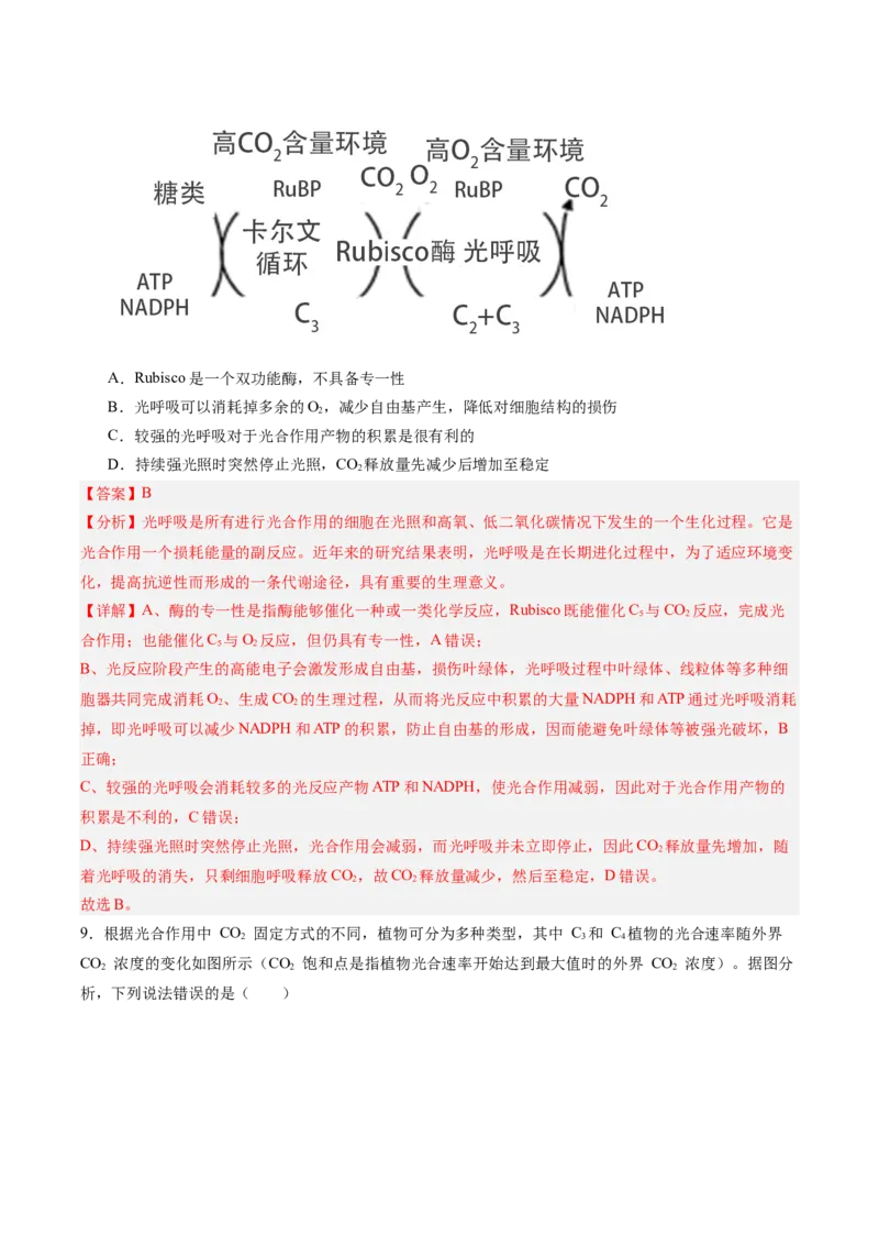 考点通关卷11细胞代谢综合分析（解析版）_2025年新高考资料_一轮复习_2025年高考生物一轮复习考点通关卷（新高考通用）