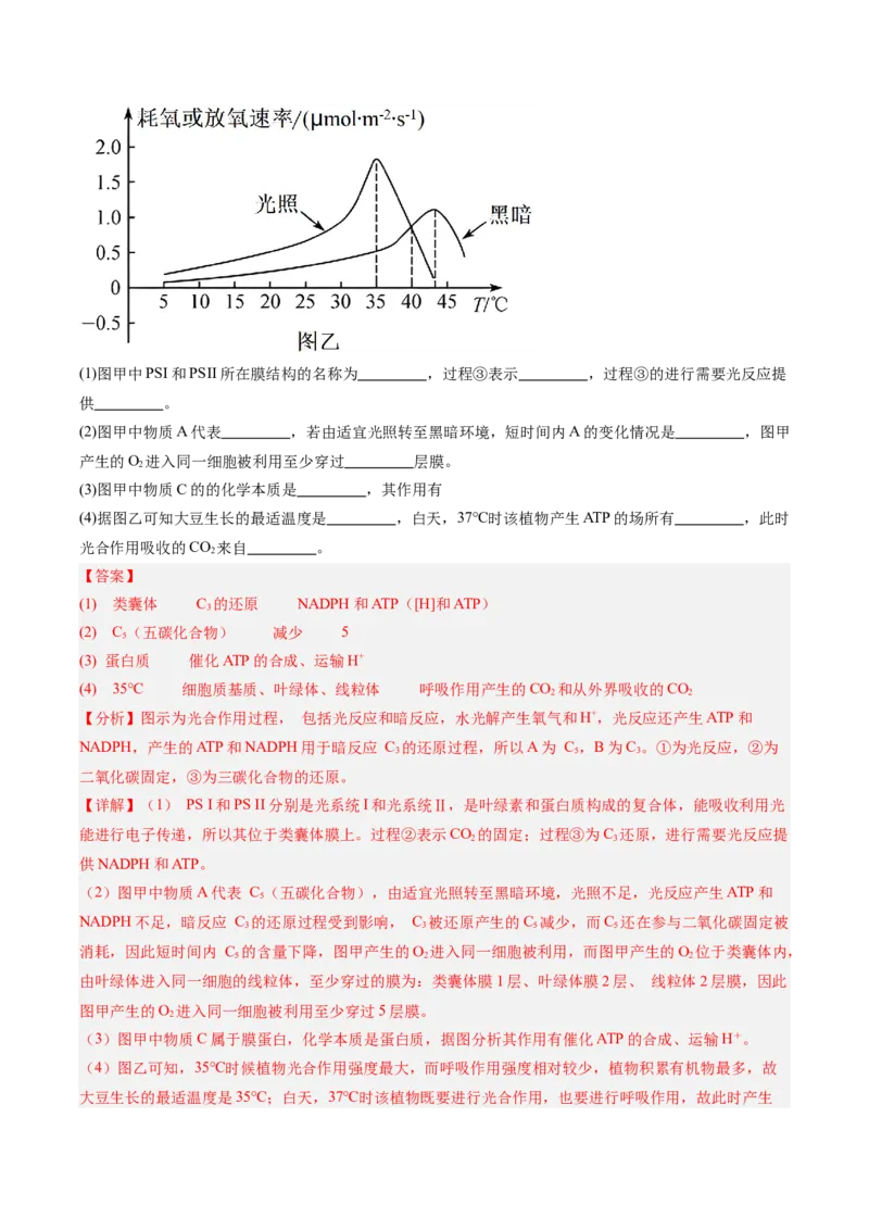 考点通关卷11细胞代谢综合分析（解析版）_2025年新高考资料_一轮复习_2025年高考生物一轮复习考点通关卷（新高考通用）