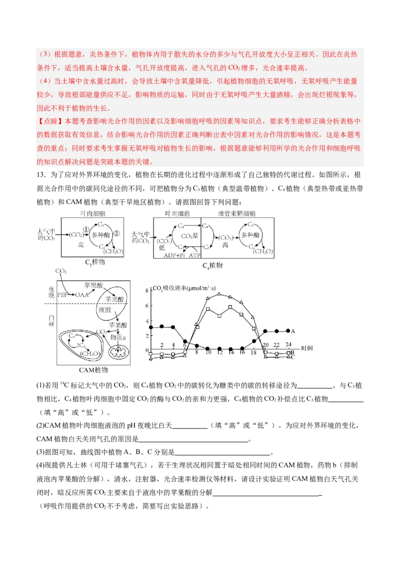考点通关卷11细胞代谢综合分析（解析版）_2025年新高考资料_一轮复习_2025年高考生物一轮复习考点通关卷（新高考通用）
