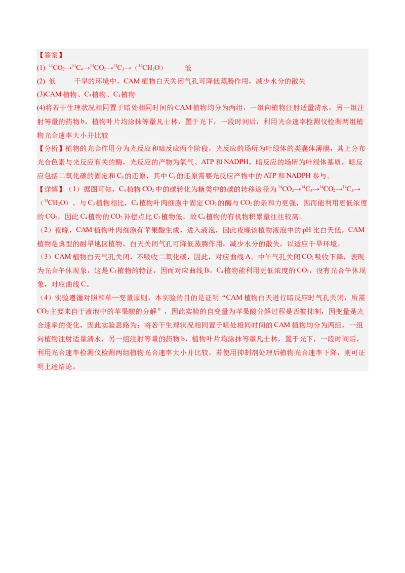 考点通关卷11细胞代谢综合分析（解析版）_2025年新高考资料_一轮复习_2025年高考生物一轮复习考点通关卷（新高考通用）