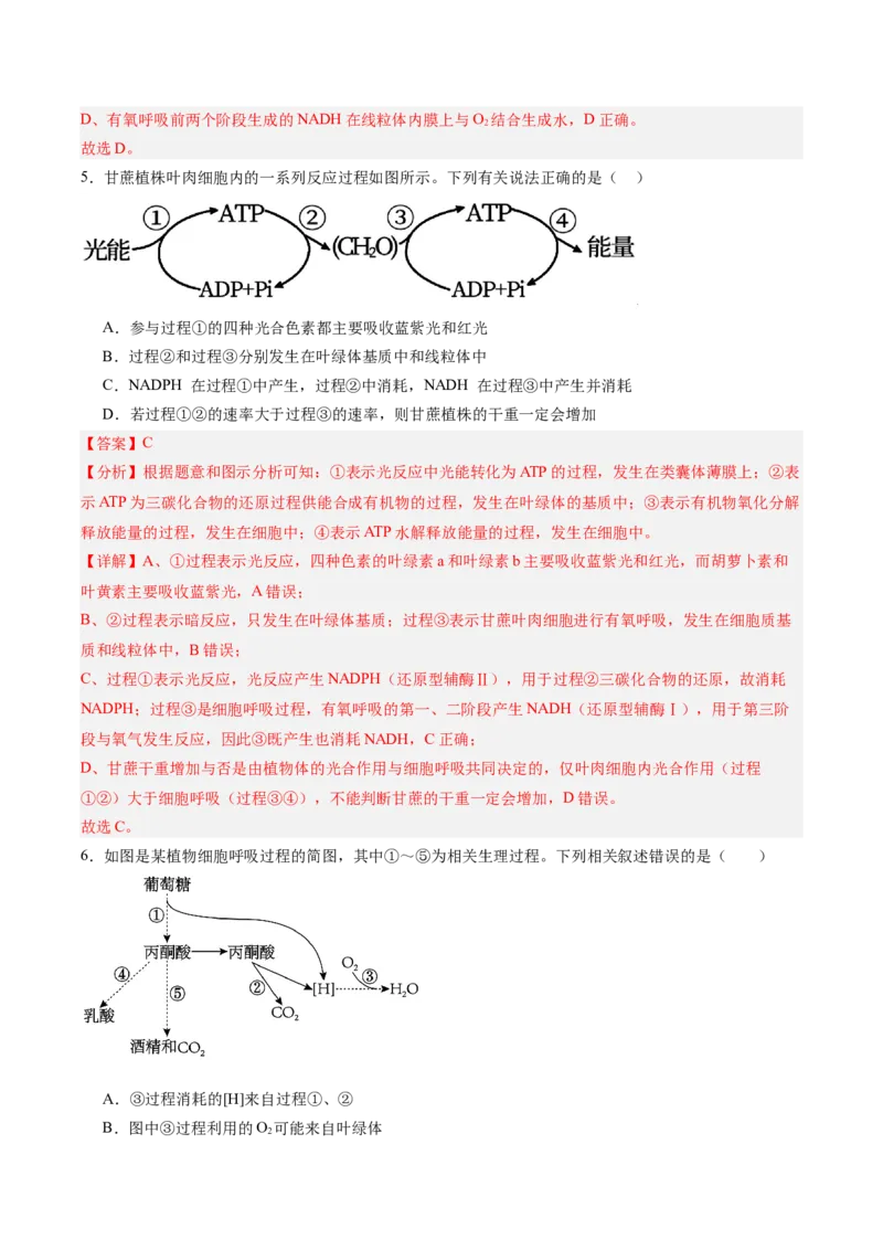 考点通关卷11细胞代谢综合分析（解析版）_2025年新高考资料_一轮复习_2025年高考生物一轮复习考点通关卷（新高考通用）