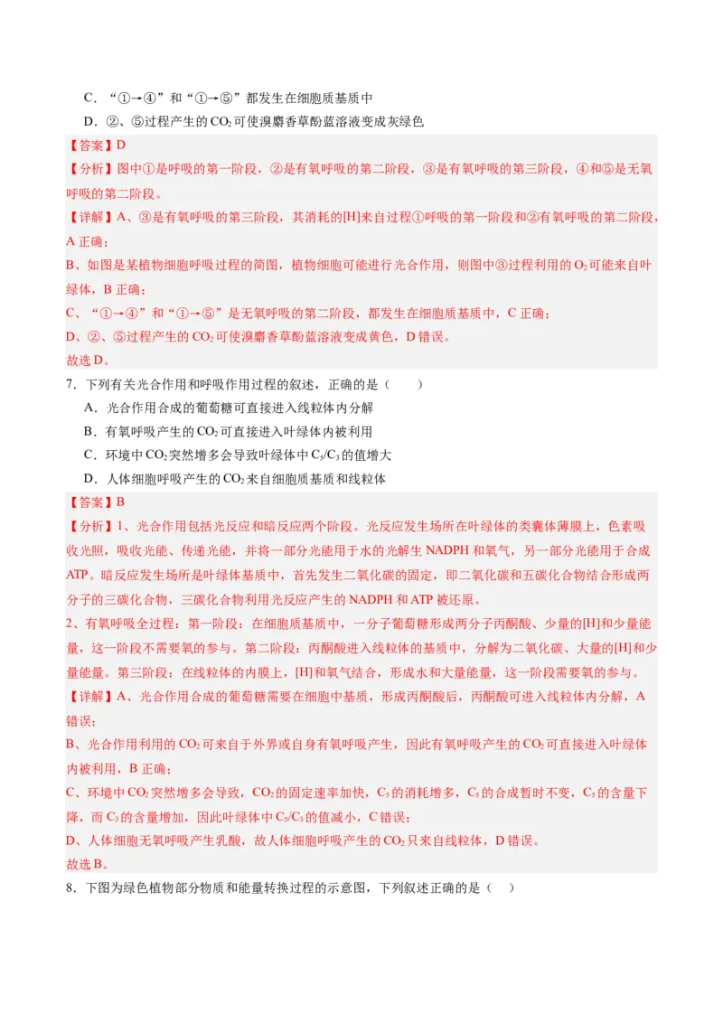 考点通关卷11细胞代谢综合分析（解析版）_2025年新高考资料_一轮复习_2025年高考生物一轮复习考点通关卷（新高考通用）