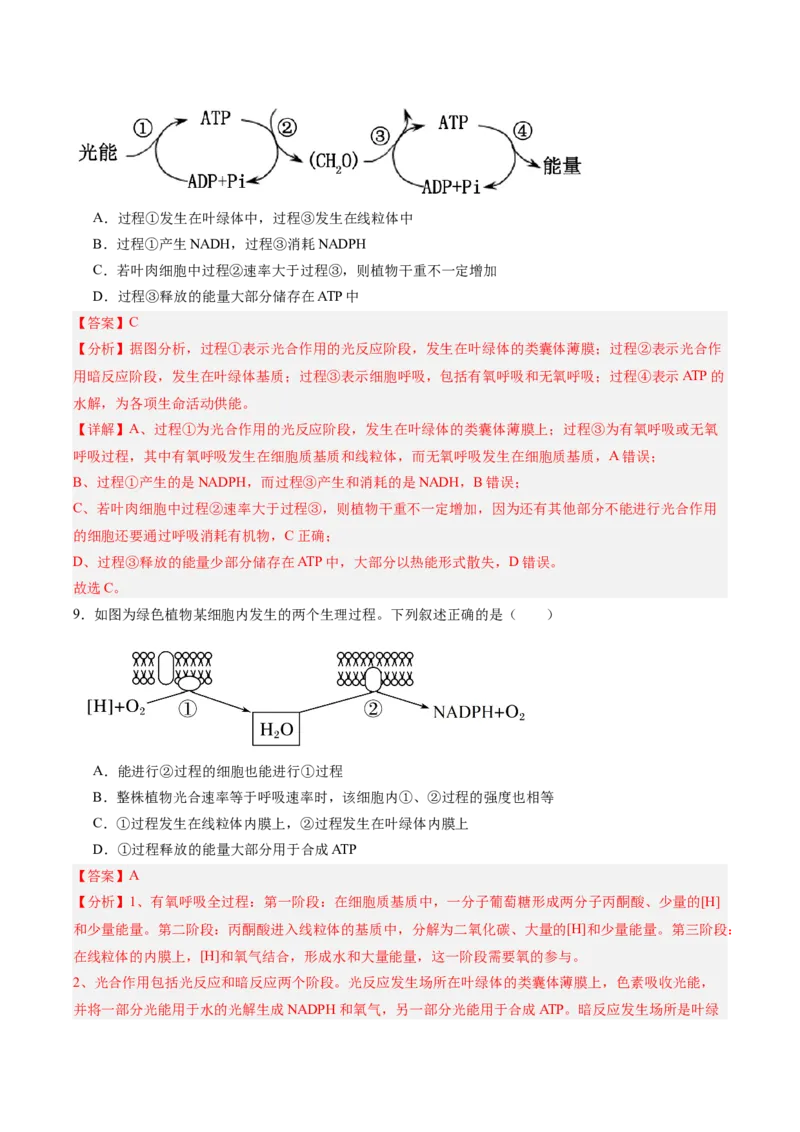 考点通关卷11细胞代谢综合分析（解析版）_2025年新高考资料_一轮复习_2025年高考生物一轮复习考点通关卷（新高考通用）