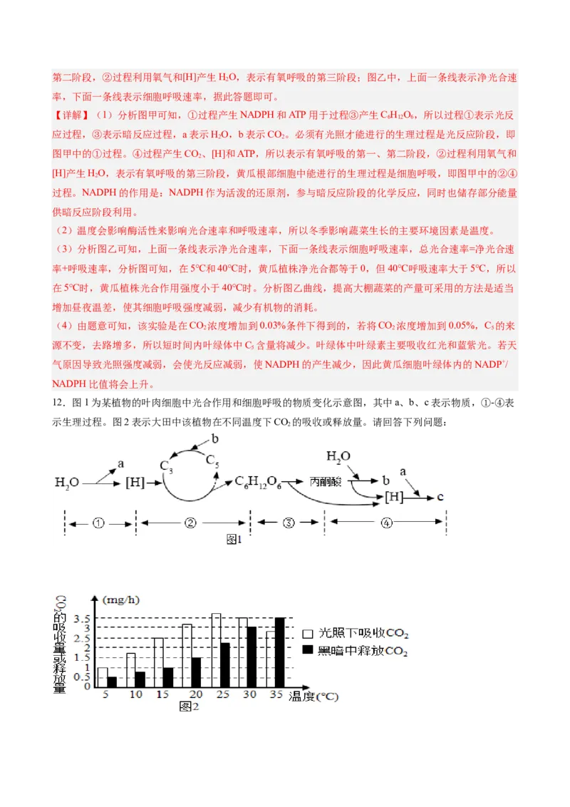 考点通关卷11细胞代谢综合分析（解析版）_2025年新高考资料_一轮复习_2025年高考生物一轮复习考点通关卷（新高考通用）