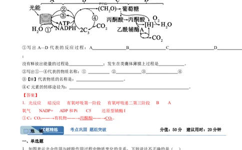 考点通关卷11细胞代谢综合分析（解析版）_2025年新高考资料_一轮复习_2025年高考生物一轮复习考点通关卷（新高考通用）
