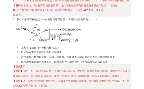 考点通关卷11细胞代谢综合分析（解析版）_2025年新高考资料_一轮复习_2025年高考生物一轮复习考点通关卷（新高考通用）