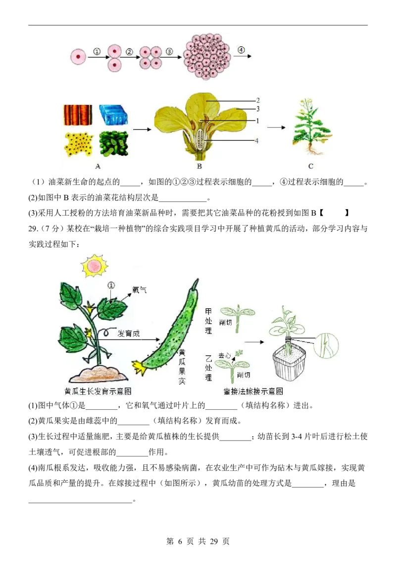 生物(福建卷)_中考押题2026《中考押题》系列（9科全套实时更新中）_2026版中考《考前押测卷》地区版（地生）_2026《生物中考&bull;考前押题卷》地区版