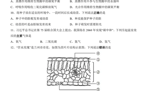 生物(福建卷)_中考押题2026《中考押题》系列（9科全套实时更新中）_2026版中考《考前押测卷》地区版（地生）_2026《生物中考&bull;考前押题卷》地区版
