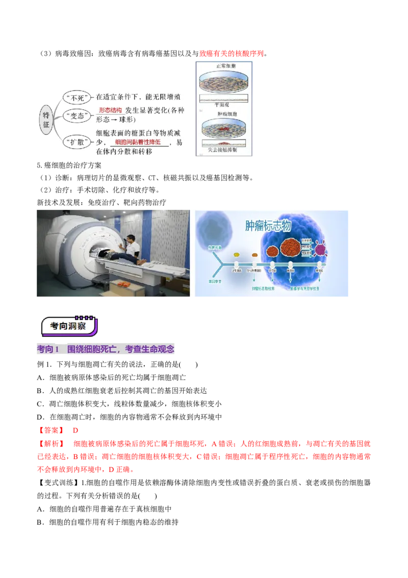 第14讲细胞的分化、衰老、死亡和癌变（讲义）（解析版）_2025年新高考资料_一轮复习_2025年高考生物一轮复习讲练测（新教材新高考）