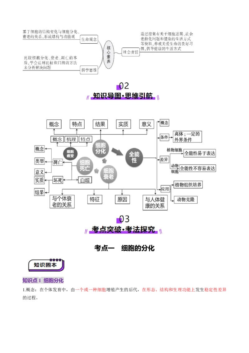 第14讲细胞的分化、衰老、死亡和癌变（讲义）（解析版）_2025年新高考资料_一轮复习_2025年高考生物一轮复习讲练测（新教材新高考）
