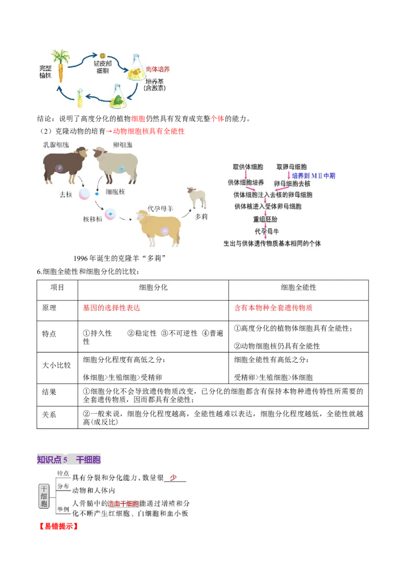 第14讲细胞的分化、衰老、死亡和癌变（讲义）（解析版）_2025年新高考资料_一轮复习_2025年高考生物一轮复习讲练测（新教材新高考）