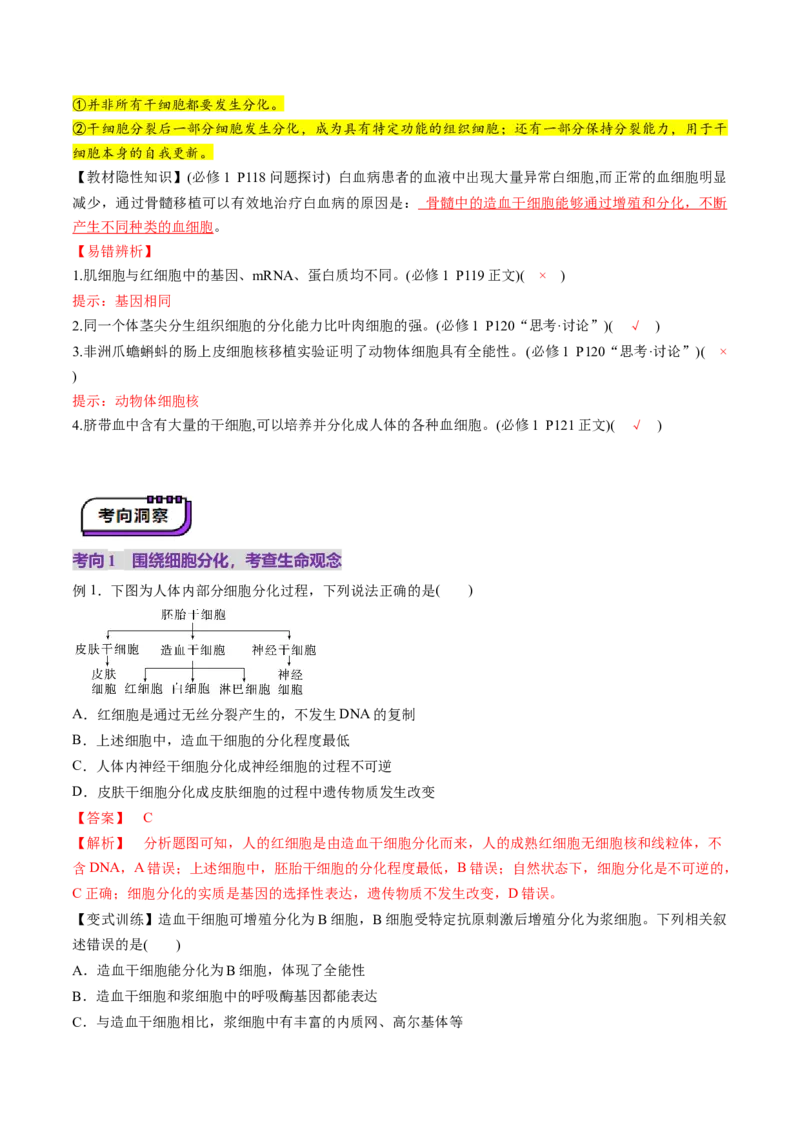 第14讲细胞的分化、衰老、死亡和癌变（讲义）（解析版）_2025年新高考资料_一轮复习_2025年高考生物一轮复习讲练测（新教材新高考）