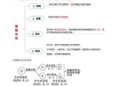 第14讲细胞的分化、衰老、死亡和癌变（讲义）（解析版）_2025年新高考资料_一轮复习_2025年高考生物一轮复习讲练测（新教材新高考）