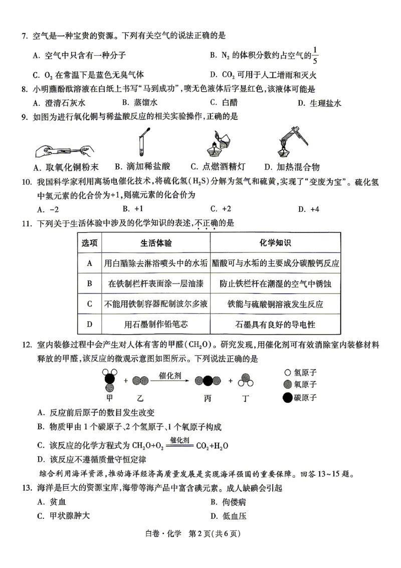 白卷_化学_中考押题2026《中考押题》系列（9科全套实时更新中）_万唯2026版初中《万唯黑白卷》7科全套（湖南）_黑白卷化学
