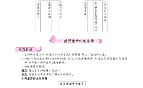名校练+考六年级上册道德与法治部编版_A493小学道法_人教版小学道德与法治教学资源包_小学道法（预习复习资料大礼包）_《名校练加考》（试卷+每课一练）
