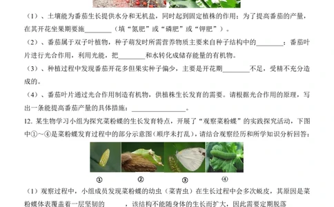 生物(安徽卷)_中考押题2026《中考押题》系列（9科全套实时更新中）_2026版中考《考前押测卷》地区版（地生）_2026《生物中考&bull;考前押题卷》地区版