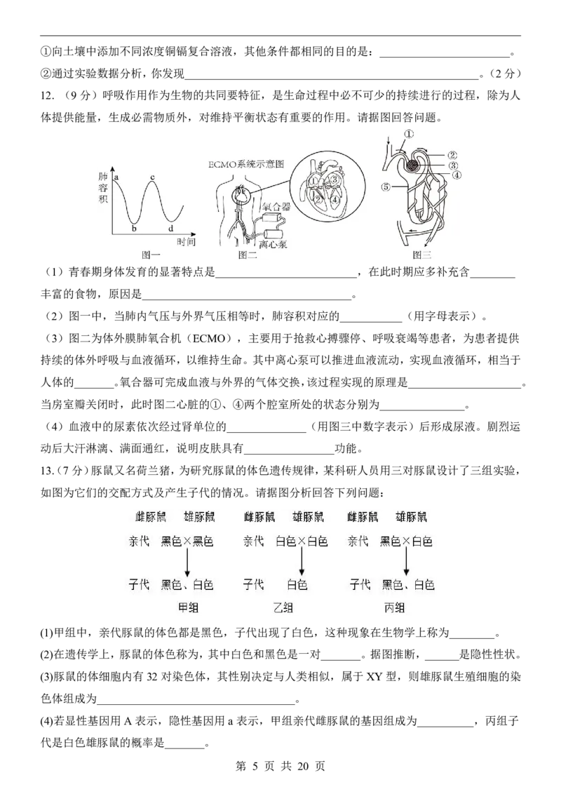 生物(湖北卷)_中考押题2026《中考押题》系列（9科全套实时更新中）_2026版中考《考前押测卷》地区版（地生）_2026《生物中考&bull;考前押题卷》地区版