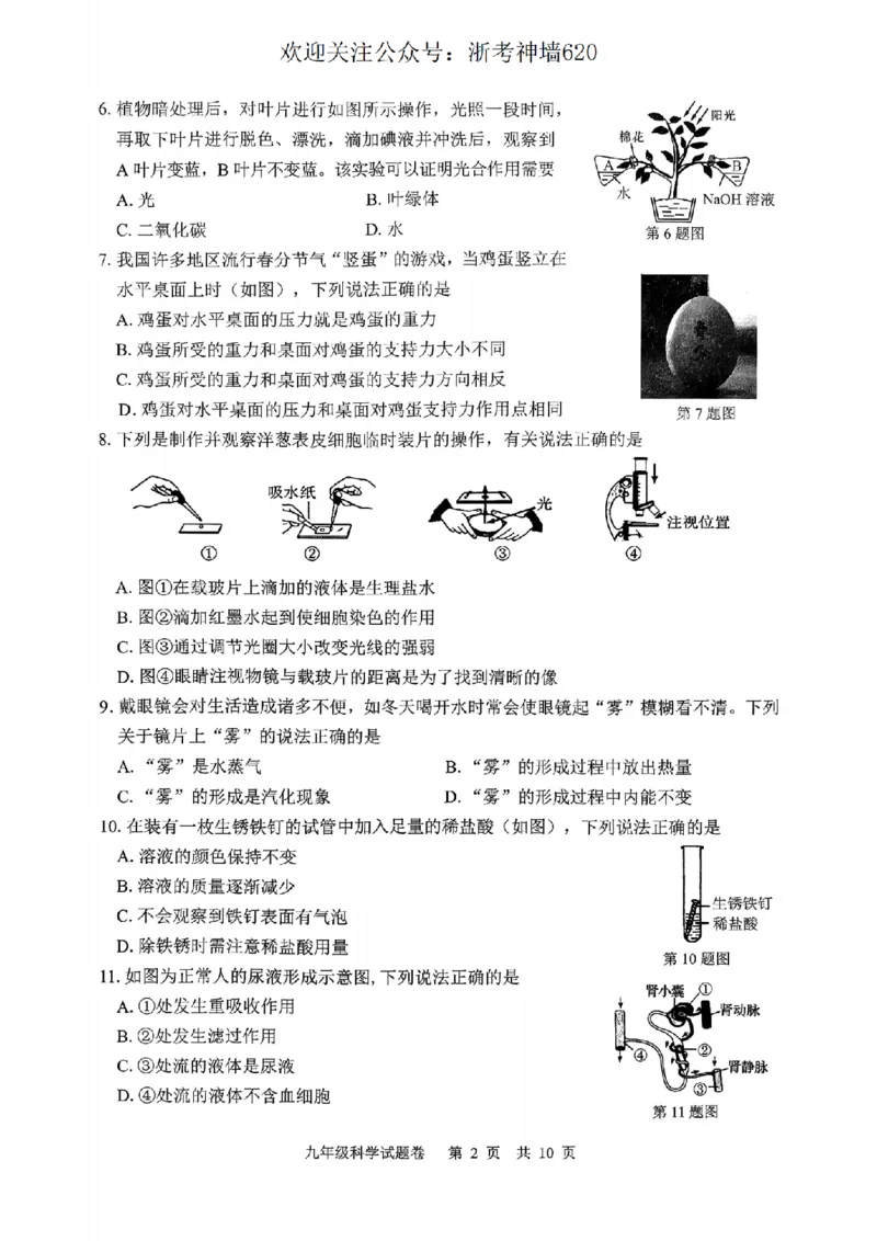 科学卷-2604丽水一模_中考押题2026《中考押题》系列（9科全套实时更新中）_浙江2026版中考《浙江一模二模》多地区全套（浙江）_2604丽水一模