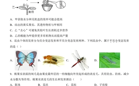 生物(黑龙江卷)_中考押题2026《中考押题》系列（9科全套实时更新中）_2026版中考《考前押测卷》地区版（地生）_2026《生物中考&bull;考前预测卷》地区版