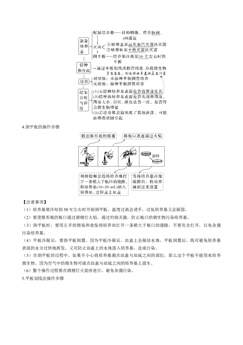 考向26发酵工程-备战2023年高考生物一轮复习考点微专题（全国通用）（解析版）(1)_通用版（老高考）复习资料_2023年复习资料_一轮复习