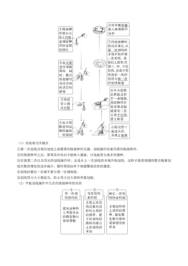 考向26发酵工程-备战2023年高考生物一轮复习考点微专题（全国通用）（解析版）(1)_通用版（老高考）复习资料_2023年复习资料_一轮复习