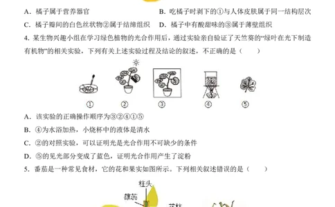 生物(北京卷)_中考押题2026《中考押题》系列（9科全套实时更新中）_2026版中考《考前押测卷》地区版（地生）_2026《生物中考&bull;考前押题卷》地区版