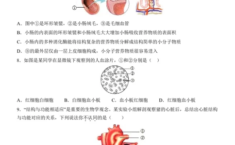 生物(北京卷)_中考押题2026《中考押题》系列（9科全套实时更新中）_2026版中考《考前押测卷》地区版（地生）_2026《生物中考&bull;考前押题卷》地区版