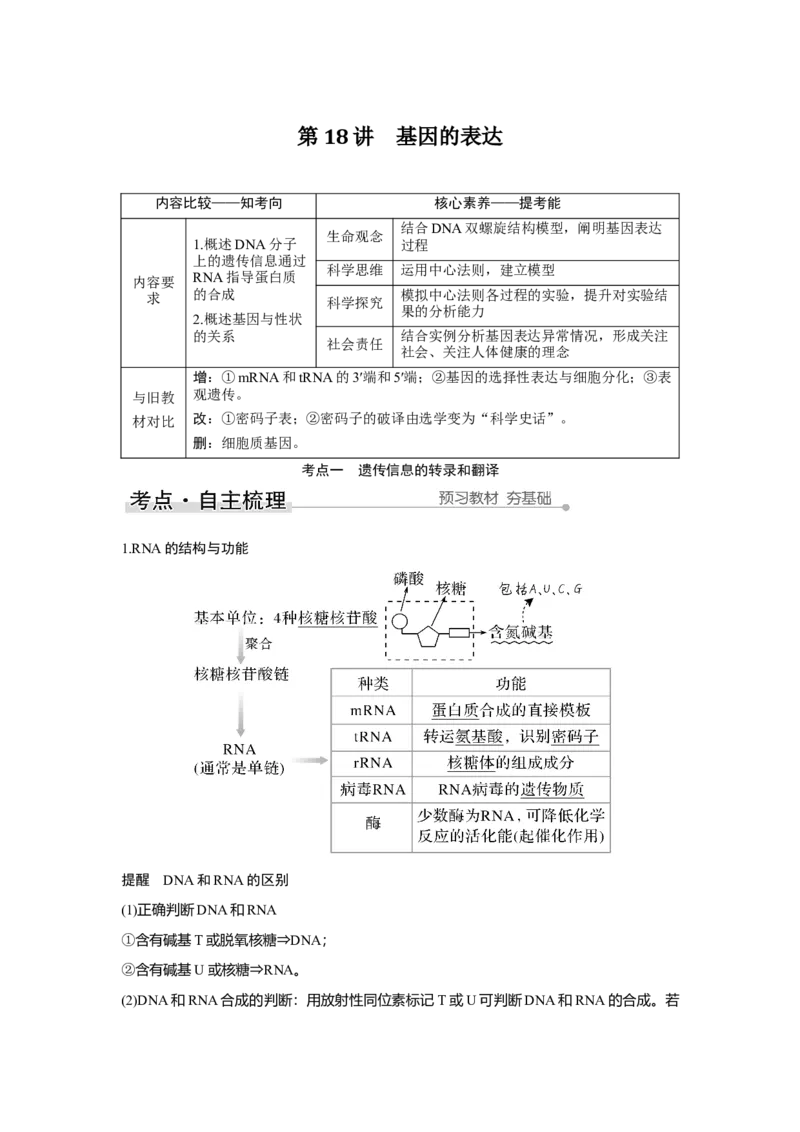第18讲　基因的表达_新高考复习资料_2023年新高考复习资料_一轮复习_2023年新高考大一轮复习讲义_2023年高考生物一轮复习讲义（新人教新高考）_赠补充习题_Word版题库第二~六单元