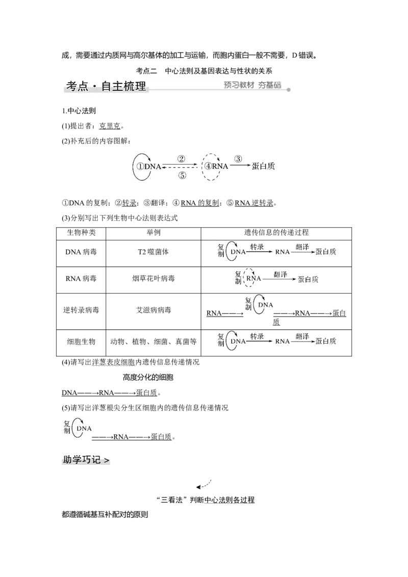 第18讲　基因的表达_新高考复习资料_2023年新高考复习资料_一轮复习_2023年新高考大一轮复习讲义_2023年高考生物一轮复习讲义（新人教新高考）_赠补充习题_Word版题库第二~六单元