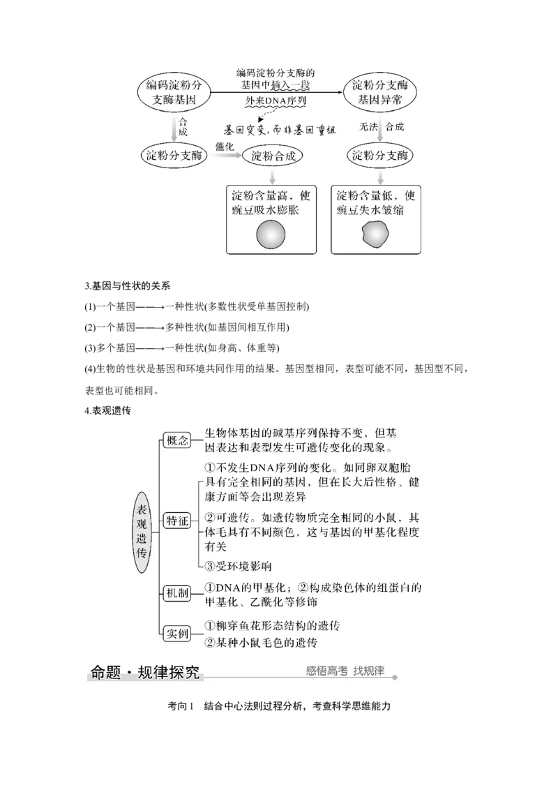 第18讲　基因的表达_新高考复习资料_2023年新高考复习资料_一轮复习_2023年新高考大一轮复习讲义_2023年高考生物一轮复习讲义（新人教新高考）_赠补充习题_Word版题库第二~六单元