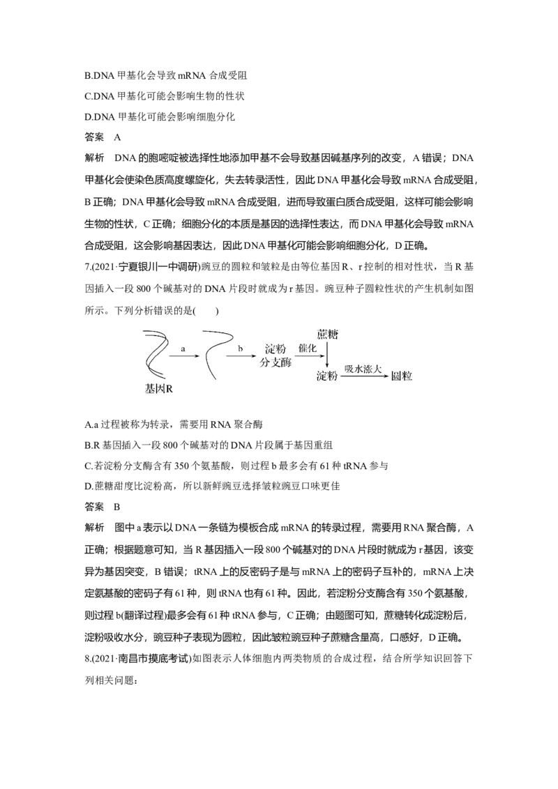 第18讲　基因的表达_新高考复习资料_2023年新高考复习资料_一轮复习_2023年新高考大一轮复习讲义_2023年高考生物一轮复习讲义（新人教新高考）_赠补充习题_Word版题库第二~六单元