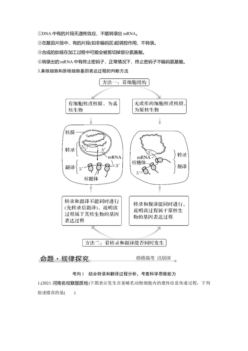 第18讲　基因的表达_新高考复习资料_2023年新高考复习资料_一轮复习_2023年新高考大一轮复习讲义_2023年高考生物一轮复习讲义（新人教新高考）_赠补充习题_Word版题库第二~六单元