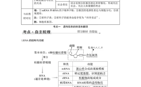 第18讲　基因的表达_新高考复习资料_2023年新高考复习资料_一轮复习_2023年新高考大一轮复习讲义_2023年高考生物一轮复习讲义（新人教新高考）_赠补充习题_Word版题库第二~六单元