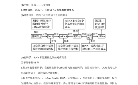 第18讲　基因的表达_新高考复习资料_2023年新高考复习资料_一轮复习_2023年新高考大一轮复习讲义_2023年高考生物一轮复习讲义（新人教新高考）_赠补充习题_Word版题库第二~六单元