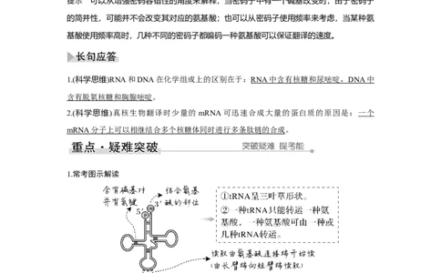第18讲　基因的表达_新高考复习资料_2023年新高考复习资料_一轮复习_2023年新高考大一轮复习讲义_2023年高考生物一轮复习讲义（新人教新高考）_赠补充习题_Word版题库第二~六单元