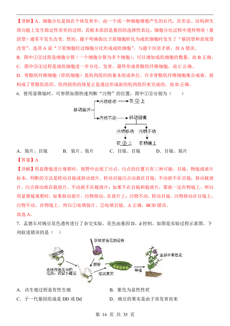 生物(山东卷)_中考押题2026《中考押题》系列（9科全套实时更新中）_2026版中考《考前押测卷》地区版（地生）_2026《生物中考&bull;考前预测卷》地区版