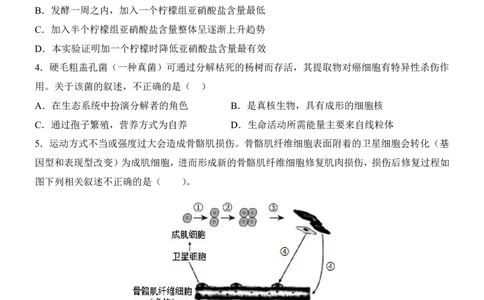 生物(山东卷)_中考押题2026《中考押题》系列（9科全套实时更新中）_2026版中考《考前押测卷》地区版（地生）_2026《生物中考&bull;考前预测卷》地区版