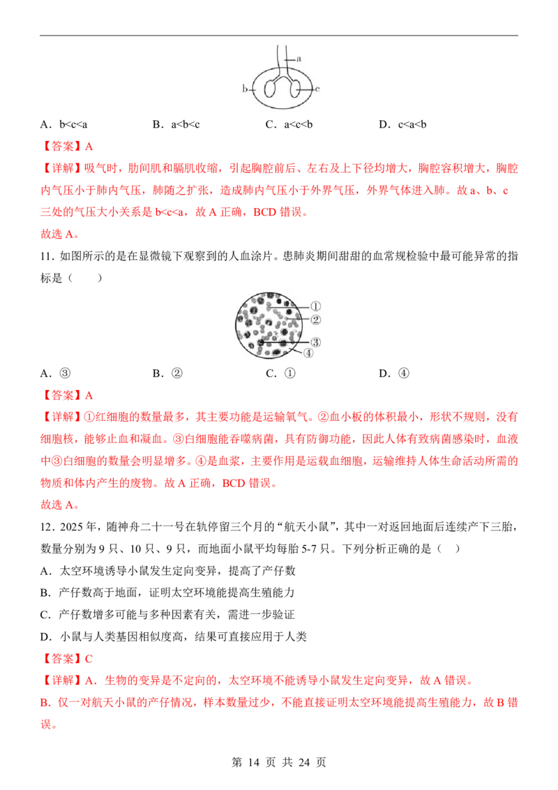 生物(深圳卷)_中考押题2026《中考押题》系列（9科全套实时更新中）_2026版中考《考前押测卷》地区版（地生）_2026《生物中考&bull;考前预测卷》地区版
