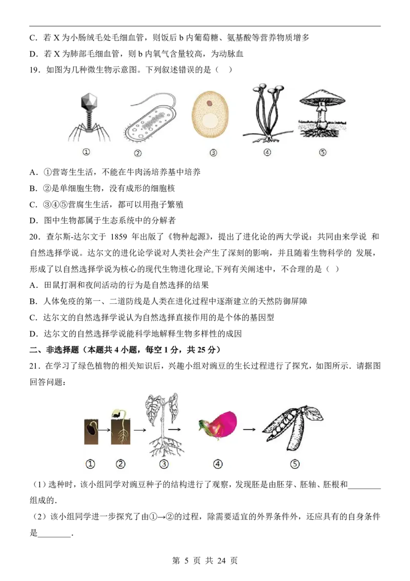 生物(深圳卷)_中考押题2026《中考押题》系列（9科全套实时更新中）_2026版中考《考前押测卷》地区版（地生）_2026《生物中考&bull;考前预测卷》地区版