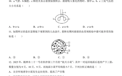 生物(深圳卷)_中考押题2026《中考押题》系列（9科全套实时更新中）_2026版中考《考前押测卷》地区版（地生）_2026《生物中考&bull;考前预测卷》地区版