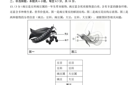 生物(辽宁卷)_中考押题2026《中考押题》系列（9科全套实时更新中）_2026版中考《考前押测卷》地区版（地生）_2026《生物中考&bull;考前押题卷》地区版
