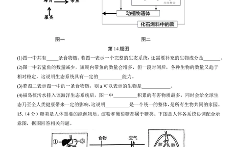 生物(辽宁卷)_中考押题2026《中考押题》系列（9科全套实时更新中）_2026版中考《考前押测卷》地区版（地生）_2026《生物中考&bull;考前押题卷》地区版