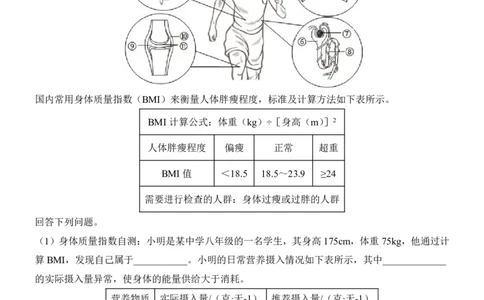 生物(湖北卷)_中考押题2026《中考押题》系列（9科全套实时更新中）_2026版中考《考前押测卷》地区版（地生）_2026《生物中考&bull;考前预测卷》地区版