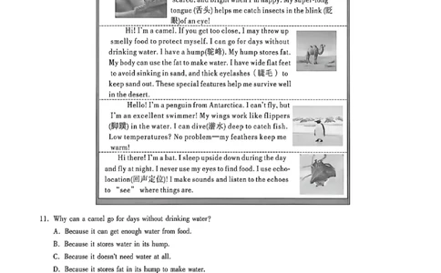 苏州黑卷英语_中考押题2026《中考押题》系列（9科全套实时更新中）_万唯2026版初中《万唯黑白卷》7科全套（苏州）