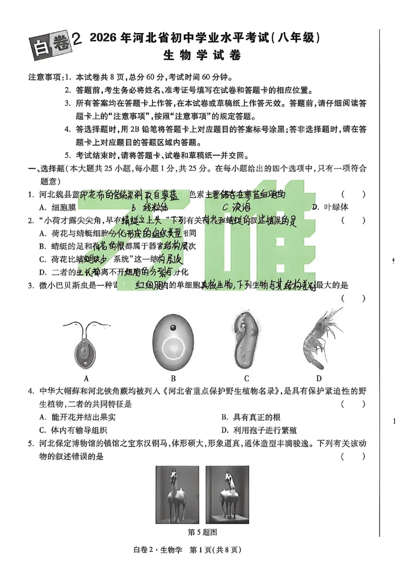 生物手写版_中考押题2026《中考押题》系列（9科全套实时更新中）_万唯2026版初中《万唯黑白卷》地生（河北）_生物黑白