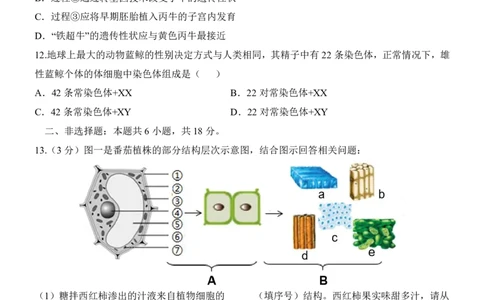 生物(辽宁卷)_中考押题2026《中考押题》系列（9科全套实时更新中）_2026版中考《考前押测卷》地区版（地生）_2026《生物中考&bull;考前预测卷》地区版