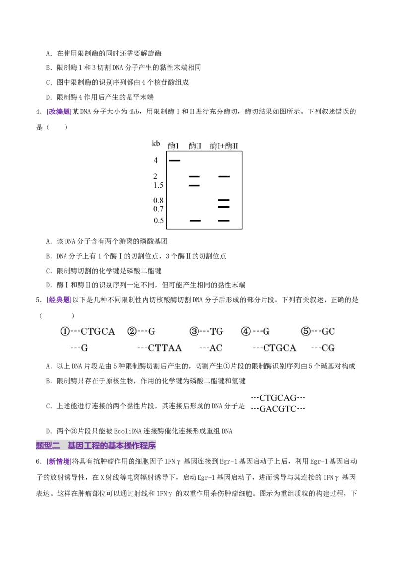 第18讲+基因工程（专项训练，4大题型）（原卷版）_2025年新高考资料_二轮复习_01高考语文等多个文件_上好课2025年高考生物二轮复习讲练测（新高考通用）