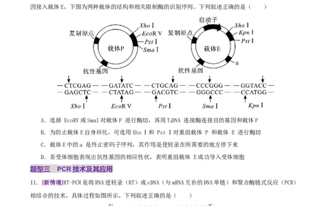 第18讲+基因工程（专项训练，4大题型）（原卷版）_2025年新高考资料_二轮复习_01高考语文等多个文件_上好课2025年高考生物二轮复习讲练测（新高考通用）