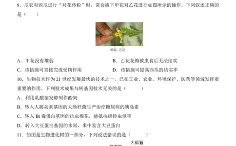 生物(广西卷)_中考押题2026《中考押题》系列（9科全套实时更新中）_2026版中考《考前押测卷》地区版（地生）_2026《生物中考&bull;考前预测卷》地区版